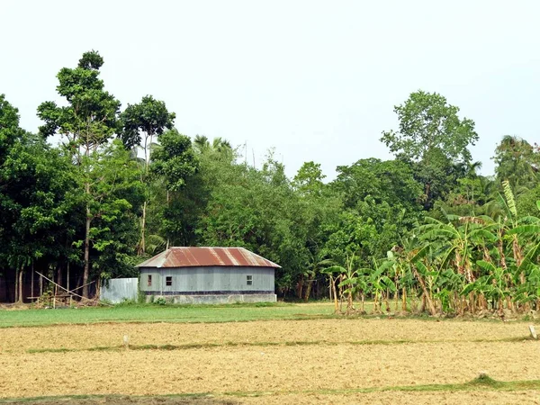 Bangladesh Rural Près Petite Ville Culturelle Kushtia — Photo