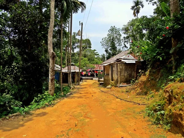 Грязевая Дорога Ведущая Сельскому Населению Сельская Местность Недалеко Шримангала Бангладеш — стоковое фото