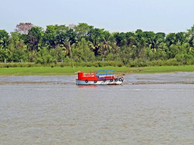 Sundarbans Bengal Körfezi kıyı bölgesinin büyük bir orman ve dünyanın doğal harikaları birini kabul