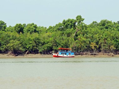 The Sundarbans is a vast forest in the coastal region of the Bay of Bengal and considered one of the natural wonders of the world clipart