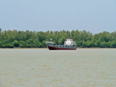 Sundarbans Bengal Körfezi kıyı bölgesinin büyük bir orman ve dünyanın doğal harikaları birini kabul