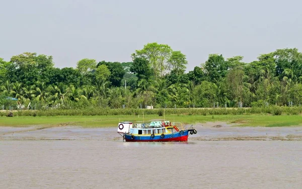 Sundarbans Una Vasta Foresta Nella Regione Costiera Del Golfo Del — Foto Stock