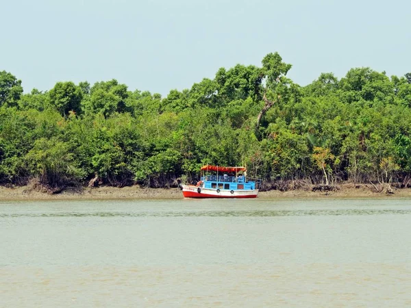 Sundarbans Una Vasta Foresta Nella Regione Costiera Del Golfo Del — Foto Stock