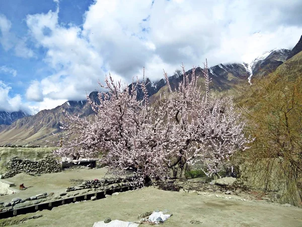 Údolí Prestine Hunza Extrémní Severní Části Pákistánu Skrytý Klenot Pohoří — Stock fotografie