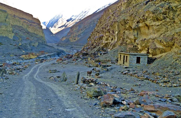 Долина Шимшал, Каракорум, Северный Пакистан — стоковое фото