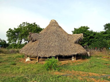 Hindistan içinde Auroville Mimarlar için bir oyun alanı var. Burada onlar ne olursa olsun onlar ile resmi bir sınırlama yoktur hayal edebiliyorum oluşturabilirsiniz