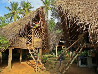 Hindistan içinde Auroville Mimarlar için bir oyun alanı var. Burada onlar ne olursa olsun onlar ile resmi bir sınırlama yoktur hayal edebiliyorum oluşturabilirsiniz