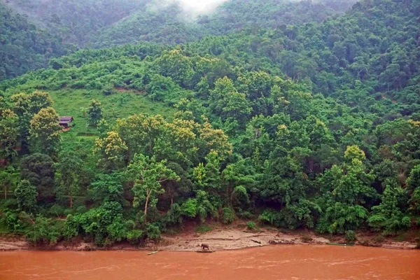 Mekong Fiume Del Sud Est Asiatico Dodicesimo Fiume Più Lungo — Foto Stock