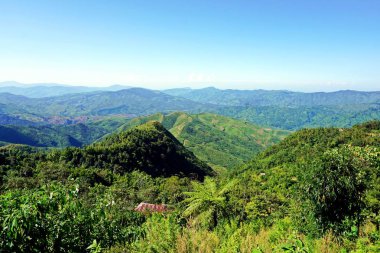 Nagaland çoğunlukla dağlık durumudur. Nispeten hafif iklim ve yağış çok verimli ve yeşil bitki örtüsü destek.