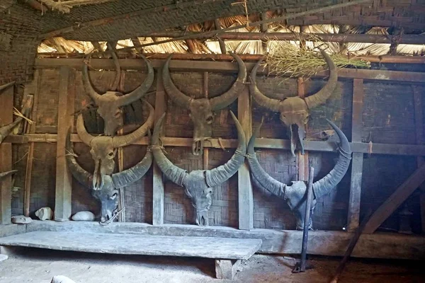 Longwa Aşiret Köyü Yerel Konyak Insanlar Onların Uzunev Çeşitli Hayvan — Stok fotoğraf