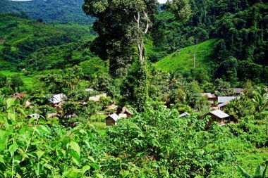 Khmu Güneydoğu Asya'nın bir etnik grup vardır. Çoğunluk, 88 yüzde, nerede onlar toplam nüfusun yüzde 11 oluşan en büyük azınlık etnik grubu teşkil Kuzey Laos yaşamak.
