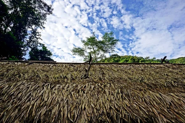 Nam Npa Localizado Província Luang Namtha Primeiro Parque Nacional Lao — Fotografia de Stock