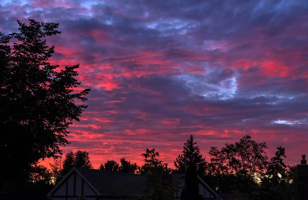 Lysande Solnedgången Med Siluett Träd Och Hus Ett Förortsområde — Stockfoto