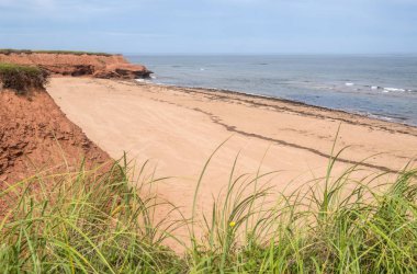 Prince Edward Island Kanada Thunder Koyu'nun sakin kırmızı kum plaj