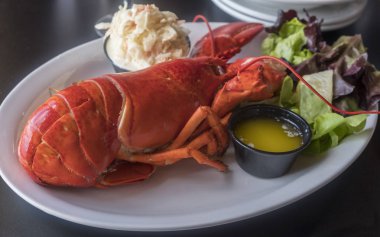 Prince Edward Island Kanada bir restoranda sunulan bütün ıstakoz yemek