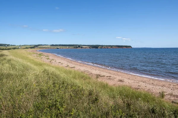 Spry Cove Beach Prince Edward Island Canada — Stock Photo, Image