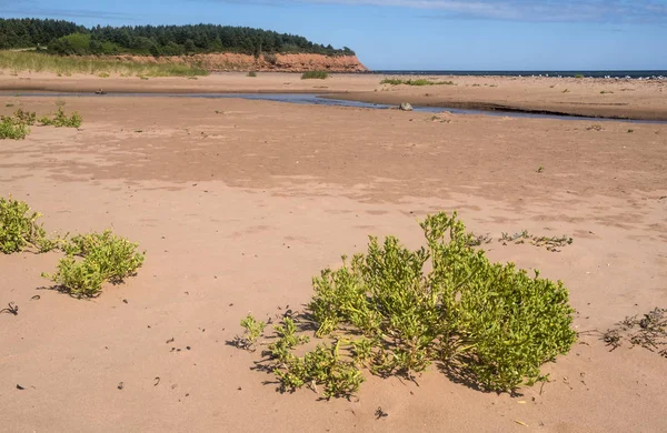 Red Sand Beach North Rustico Prince Edward Island Canada — Stock Photo, Image