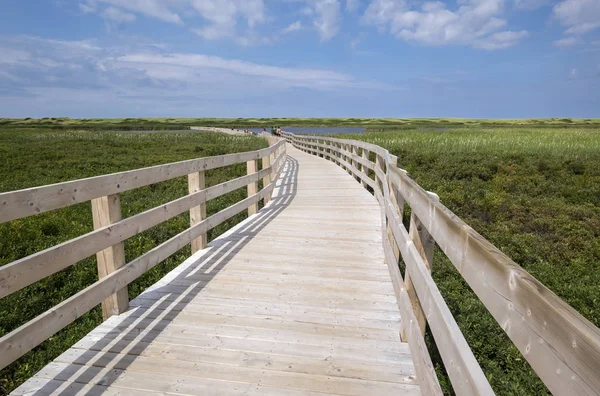 Passerella Greenwich Marsh Nell Isola Principe Edoardo Canada — Foto Stock