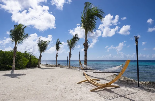 Malebné Ostrovy Renesanční Aruba Houpací Sítí Kymácející Palmy — Stock fotografie