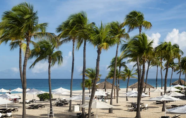 Karibiska Stranden Med Parasoller Lusthus Och Vajande Palmer — Stockfoto