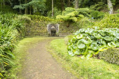 Furnas, Sao Miguel Adası, Azores, Portekiz Terra Nostra Botanik Bahçesi 'nde dekoratif bir çeşme