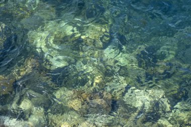 Kristal Berraklığında Yeşil Deniz Suyu Sığ Kayalar Üzerinde Bir Desen Şekillendirme