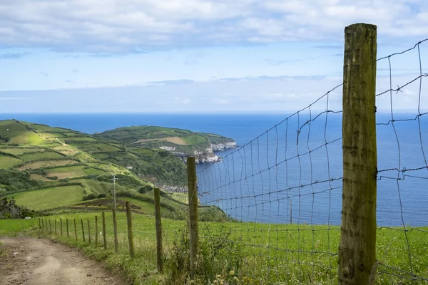 Die Grünen Sanften Hügel Und Weiden Der Insel Sao Miguel — Stockfoto