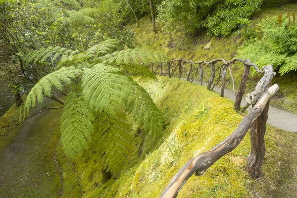 Encantador Jardim Botânico Terra Nostra Furnas Ilha São Miguel Açores — Fotografia de Stock
