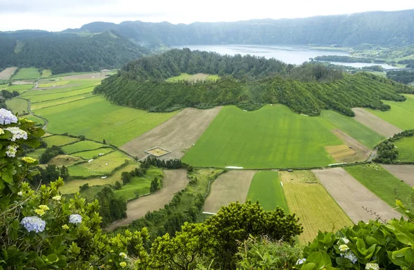 Scenic Rolling Hills Grazing Grounds Dairy Cows Isla Sao Miguel — Foto de Stock