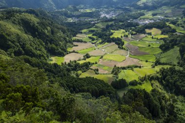 Çiftlik tarlaları-Caldeira, Furnas, Sao Miguel, Azores, Portugal