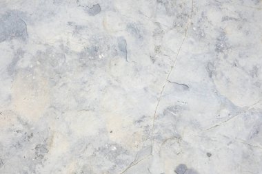 Green Point Gros Morne Milli Parkı Newfoundland bulunan Kaya Dokular Closeup