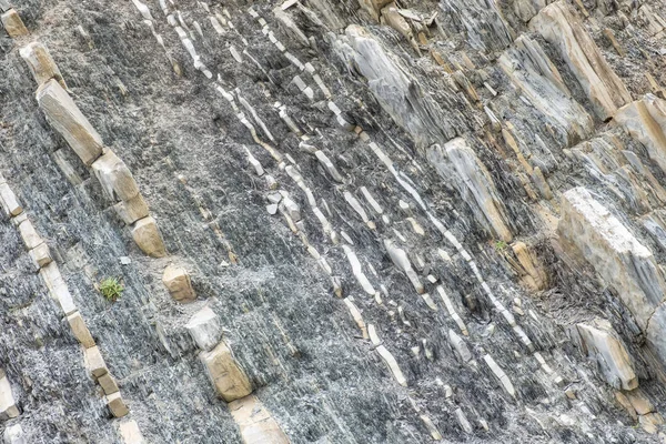 Close Rock Textures Found Green Point Gros Morne National Park — стоковое фото