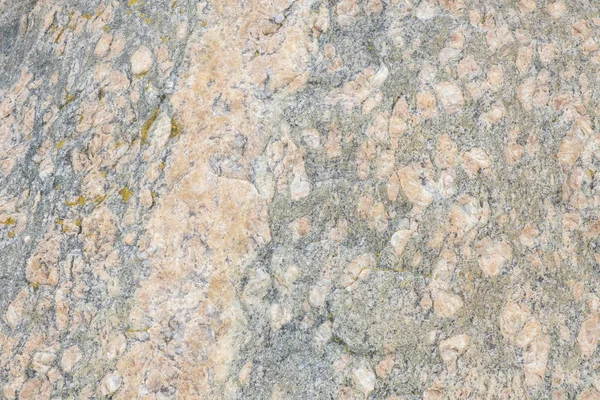 Closeup Texturas Rock Encontradas Green Point Gros Morne National Park — Fotografia de Stock