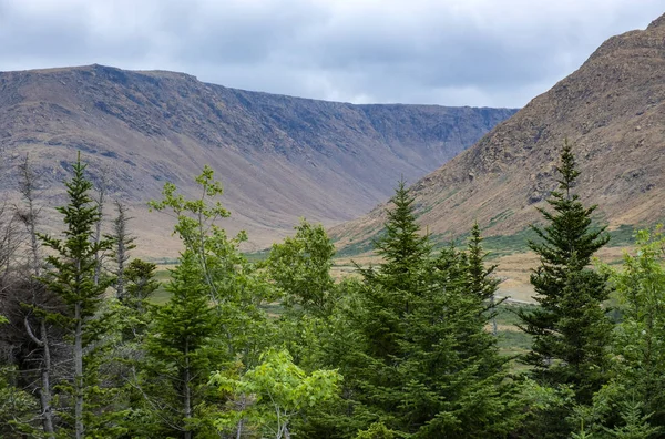 Udsigt Tablelands Gros Morne National Park Newfoundland - Stock-foto