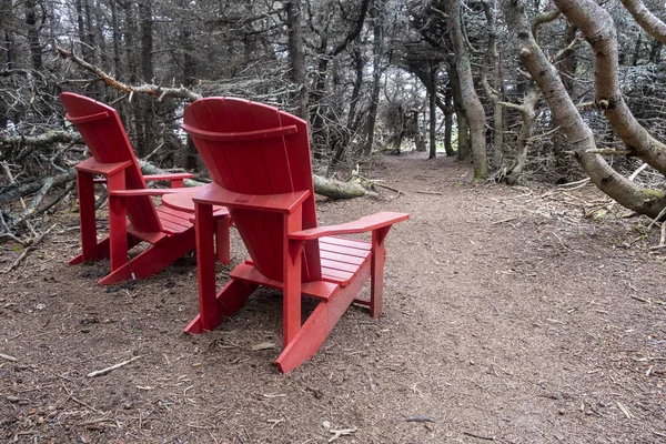 グロモーン国立公園 ニューファンドランドの枯れ木の下に2つの赤いアディロンダック椅子 — ストック写真