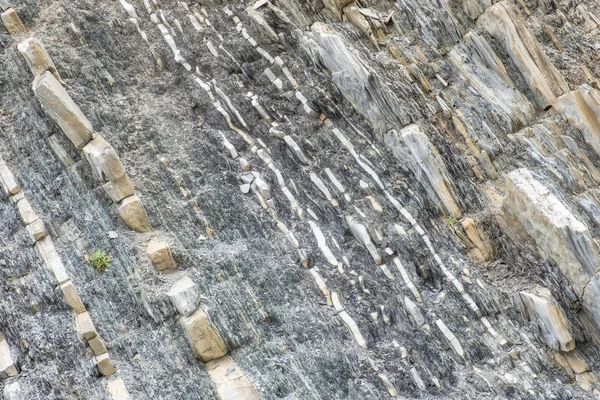 Zbliżenie Tekstur Skalnych Znalezionych Green Point Gros Morne National Park Obraz Stockowy