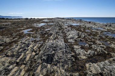 Green Point Düşük Gelgit sırasında Okyanus Tabanı, Gros Morne Milli Parkı, Newfoundland