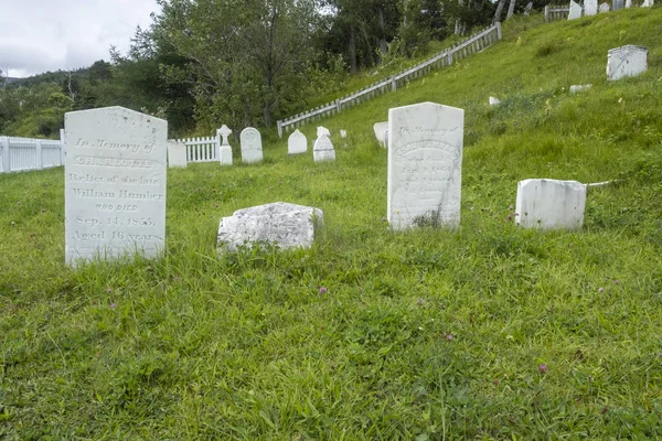 Woody Point Canada August 2019 Wood Point Anglican Cemetery — 图库照片