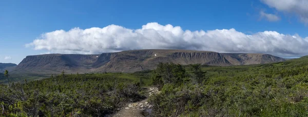 Vista Panorámica Las Mesetas Parque Nacional Gros Morne Terranova — Foto de Stock