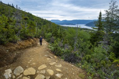 Gros Morne Milli Parkı Lookout Trail Man Yürüyüş, Newfoundland