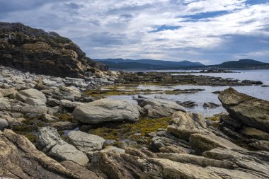 Istakoz Koyu'ndan Rocky Limanı manzarası, Gros Morne Ulusal Parkı, Newfoundland