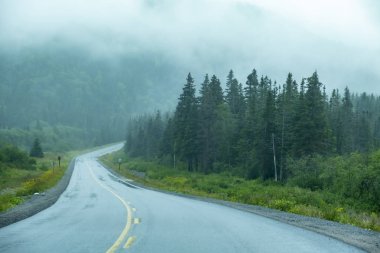 Gros Morne Milli Parkı Newfoundland Kanada Yakın Yağmurda Sürüş