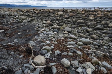 Green Point'te Düşük Gelgit, Gros Morne Ulusal Parkı, Newfoundland