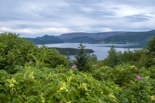 Över Tablelands Från Jenniex House Gros Morne Nationalpark Newfoundland — Stockfoto