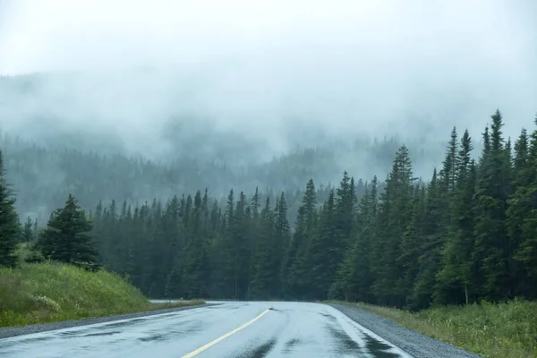 Highway Guidare Sotto Pioggia Vicino Parco Nazionale Gros Morne Terranova — Foto Stock