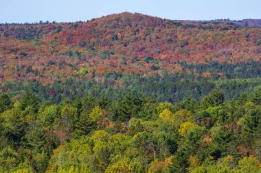 Güzel Sonbahar Renkleri Algonquin Park 'taki Gözcü Yolu' ndan Görüldü