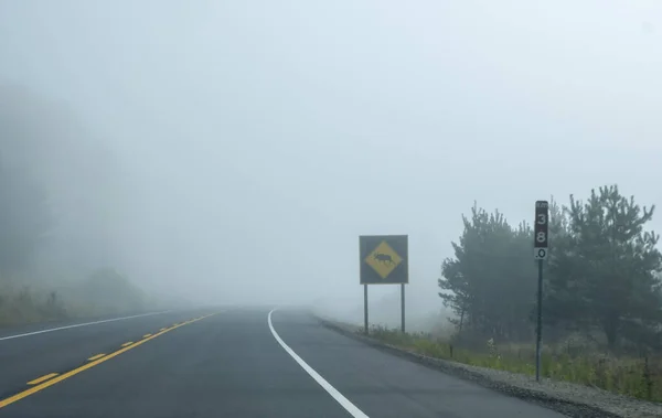 Upozornění Nápis Moose Side Highway Algonquin Park Early Morning Fog — Stock fotografie