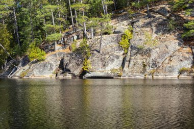 Güneşli bir günde Algonquin Parkı 'nda Rocky Kayalıkları ve Evergreen Ağaçları Sahne Yüzüncü Yıl Tepeleri Yolu