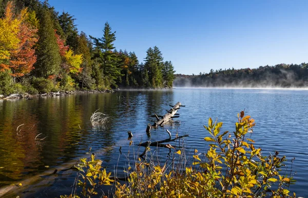 Morgennebel Über Einem See Herbst — Stockfoto