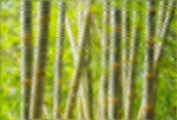 Abstract Background Bamboo Forest Design — стокове фото